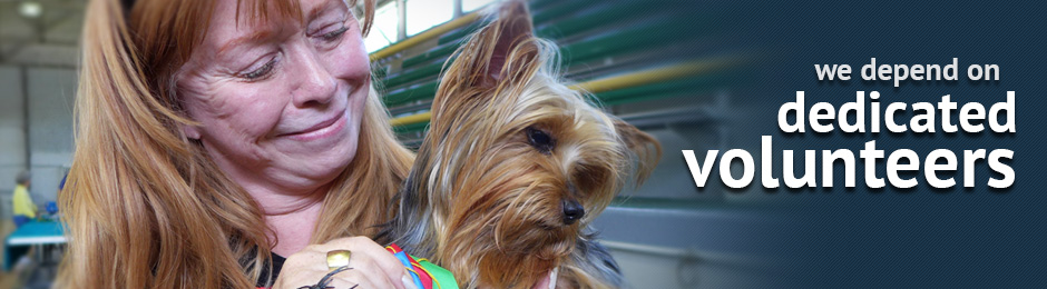 A dog with its head tilted to the side.